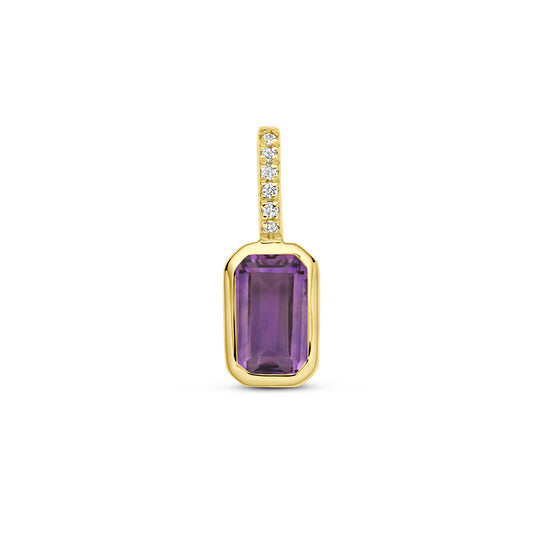 14k Geelgouden Hanger met Amethist en Diamant 0.012ct (Februari)