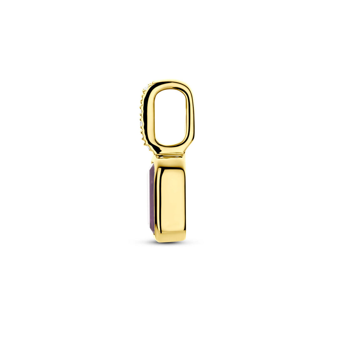 14k Geelgouden Hanger met Amethist en Diamant 0.012ct (Februari)