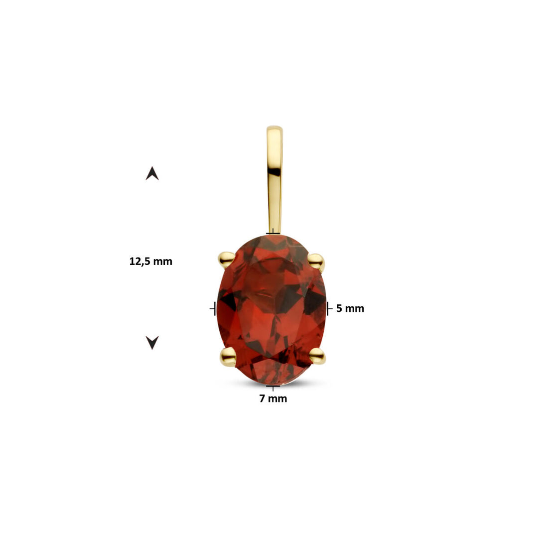 14k Geelgouden Hanger Geboortesteen Granaat Januari 12,5mm