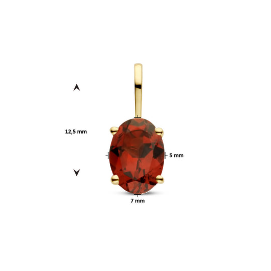14k Geelgouden Hanger Geboortesteen Granaat Januari 12,5mm