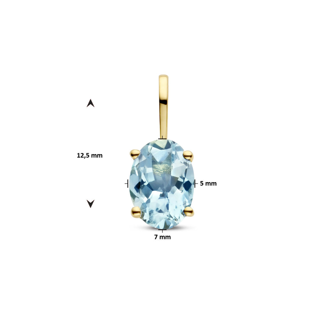 14k Gouden Hanger Geboortesteen Aquamarijn Maart 12,5mm