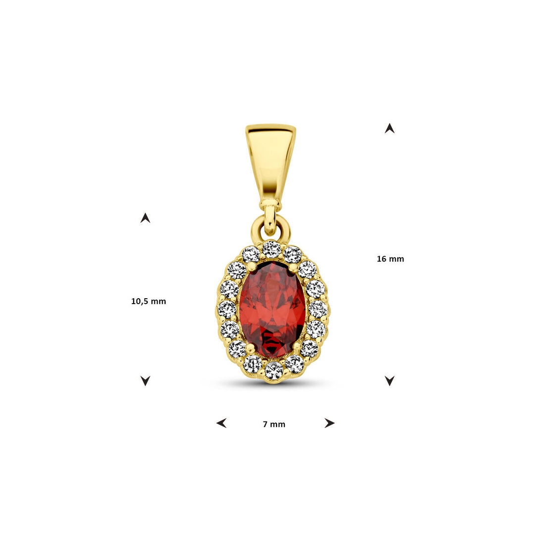 14K Geelgouden Hanger met Januari Geboortesteen Zirkonia – 16mm