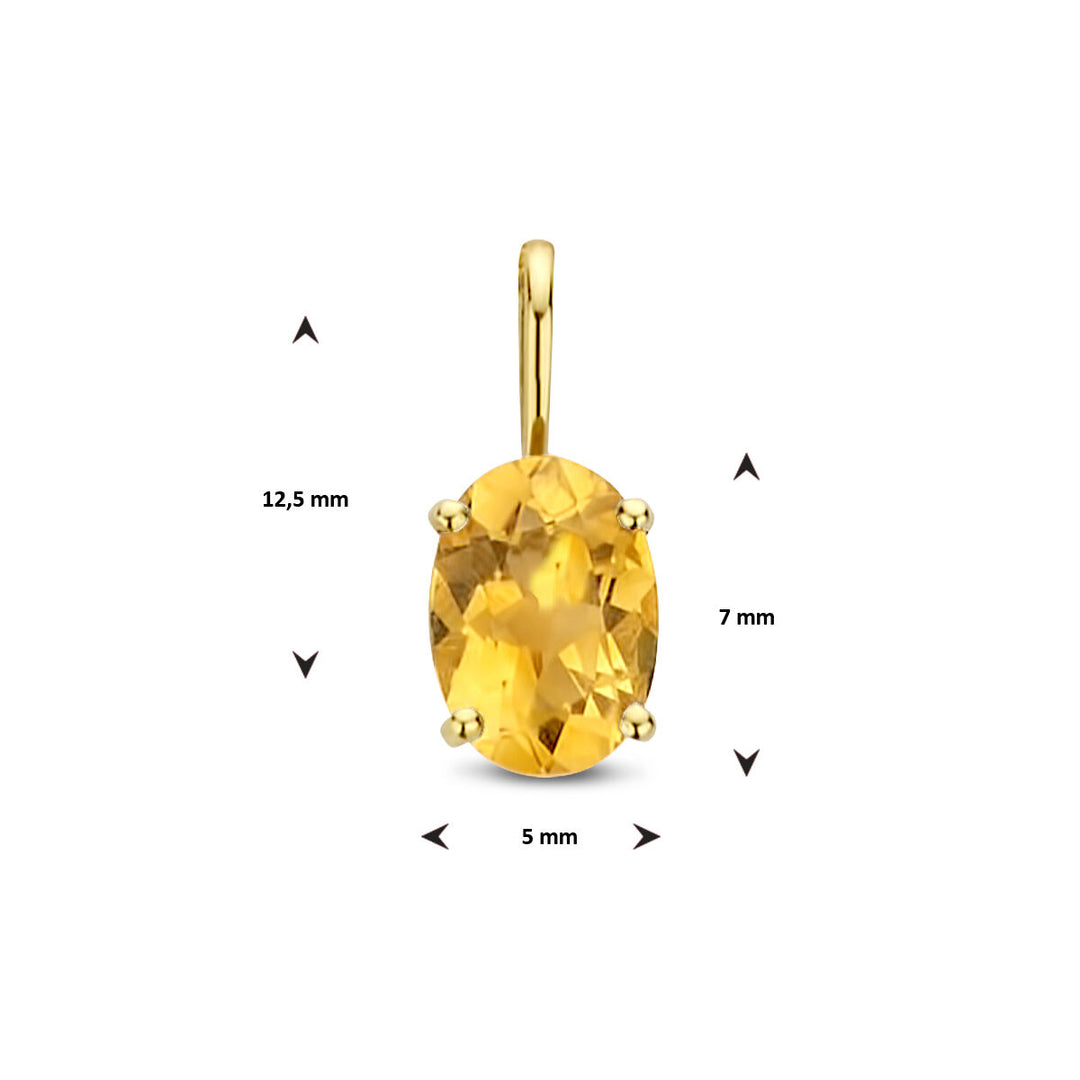 14k Gouden Hanger Geboortesteen November Citrien 12,5mm