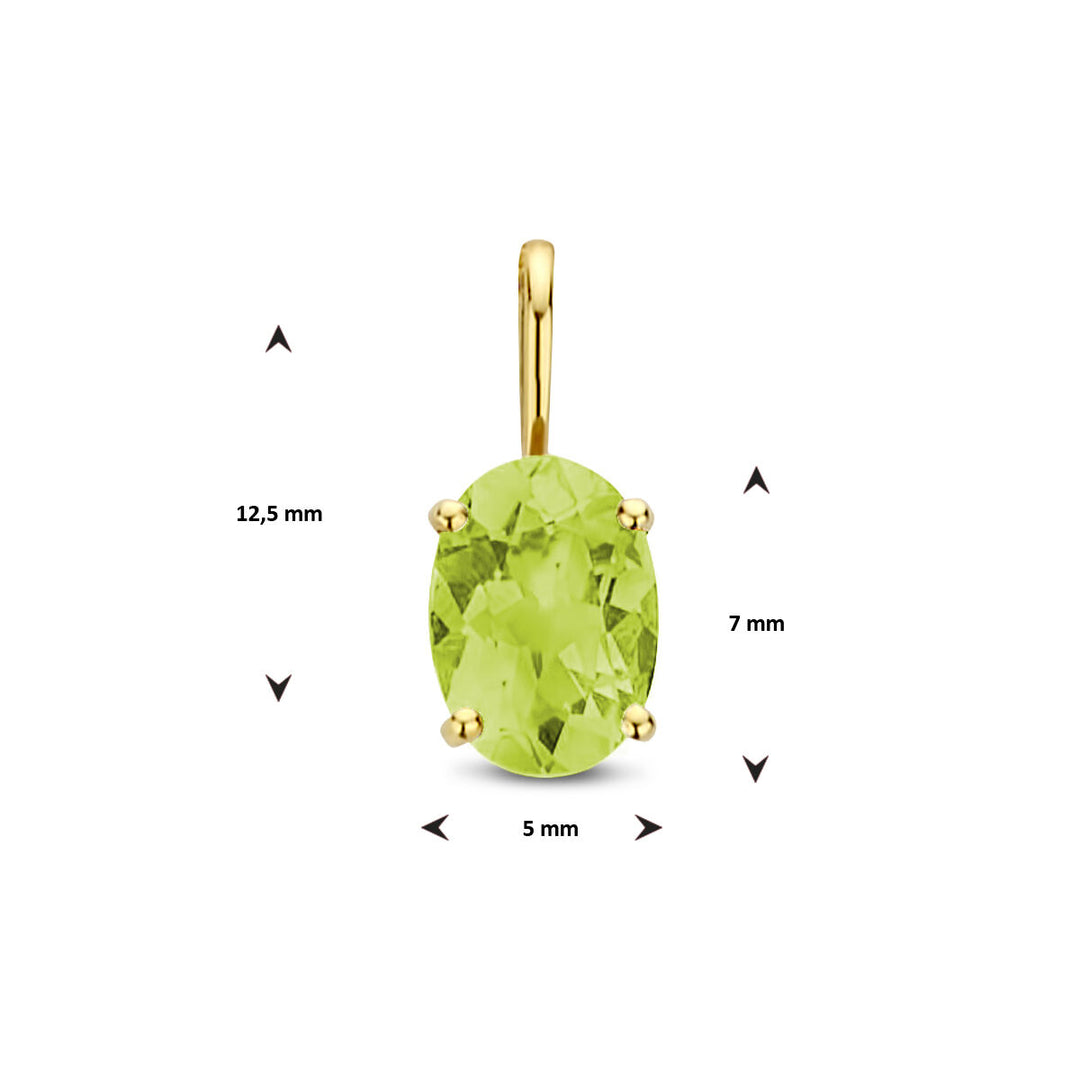 14k Gouden Hanger Geboortesteen Peridoot Augustus 12,5mm