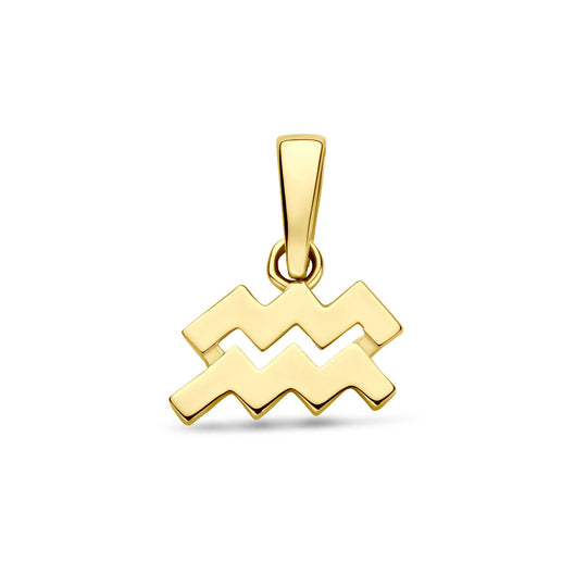 14k Geelgouden Hanger Sterrenbeeld Waterman – Per Stuk