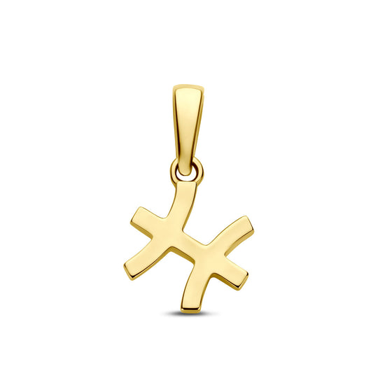 14k Geelgouden Hanger Sterrenbeeld Vissen – Per Stuk