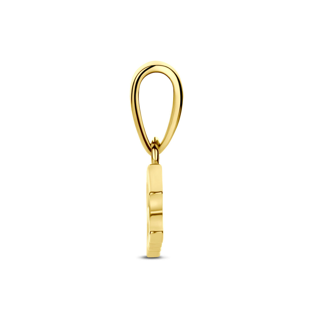 14k Geelgouden Hanger Sterrenbeeld Waterman – Per Stuk