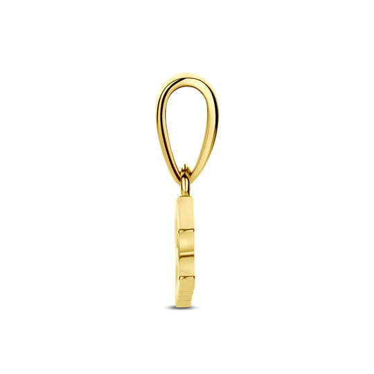 14k Geelgouden Hanger Sterrenbeeld Waterman – Per Stuk