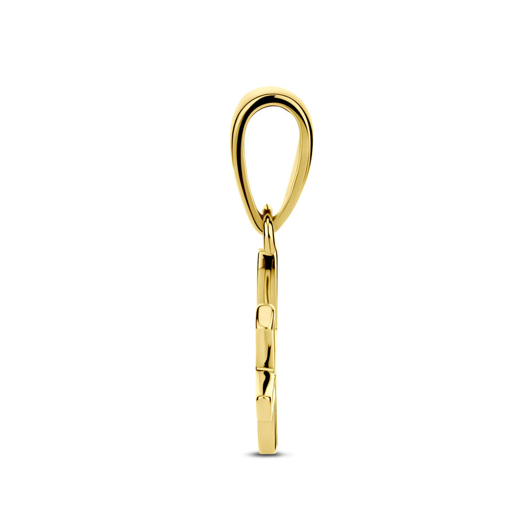 14k Geelgouden Hanger Sterrenbeeld Vissen – Per Stuk