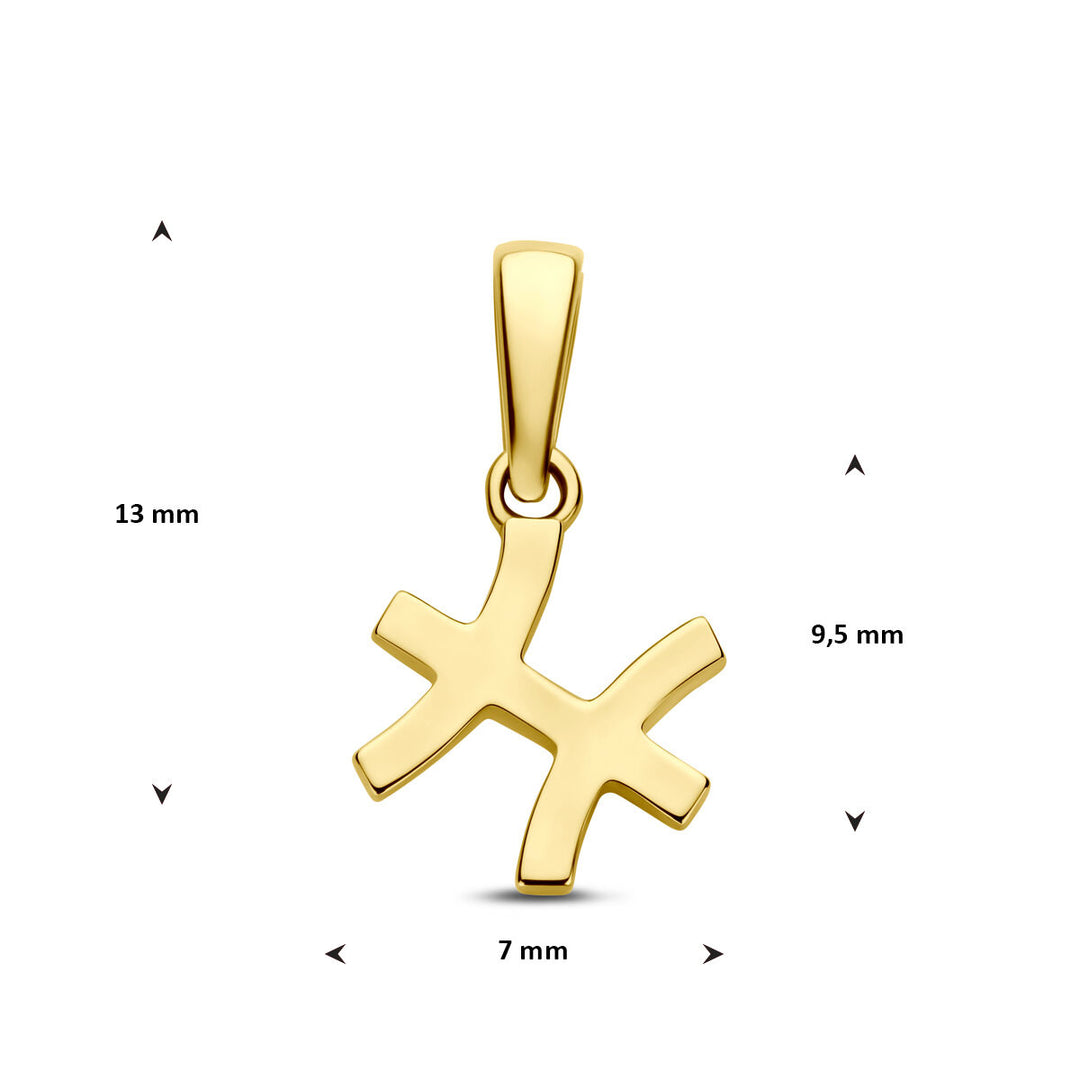 14k Geelgouden Hanger Sterrenbeeld Vissen – Per Stuk