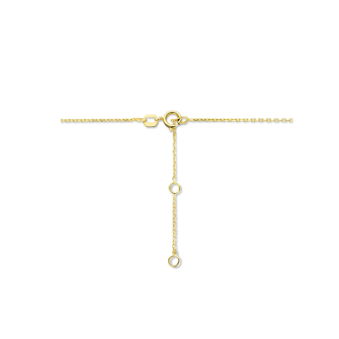 14K Geelgouden Graveercollier Januari Zirkonia Geboortesteen 45-49cm