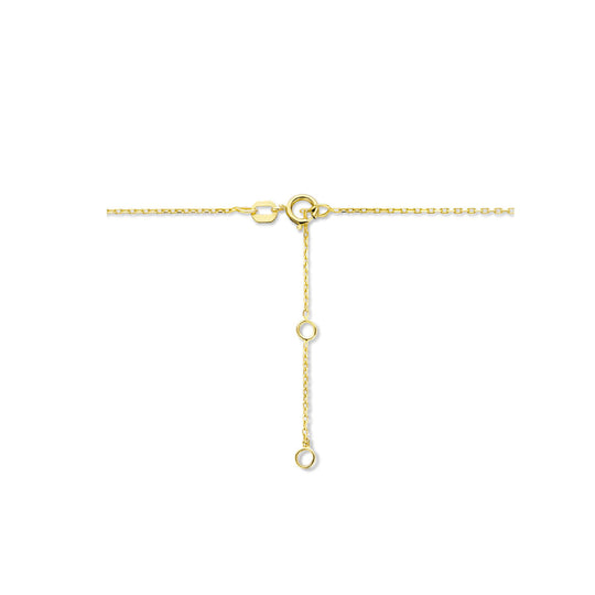 14K Geelgouden Graveercollier Januari Zirkonia Geboortesteen 45-49cm