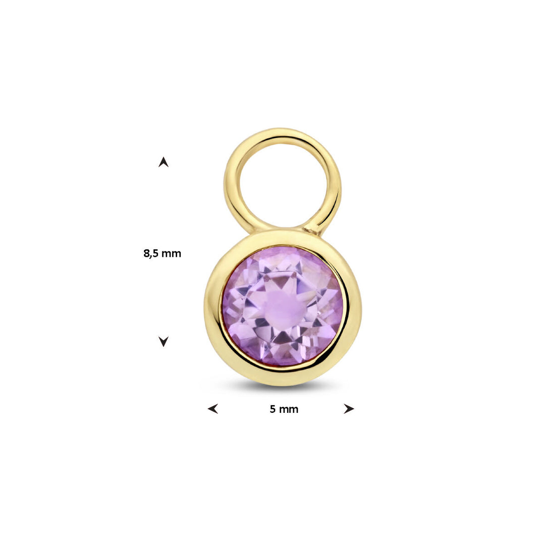 14K Geelgouden Oorringhanger Juni Geboortesteen 8,5x6mm – Per Stuk