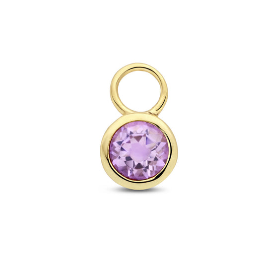 14K Geelgouden Oorringhanger Juni Geboortesteen 8,5x6mm – Per Stuk