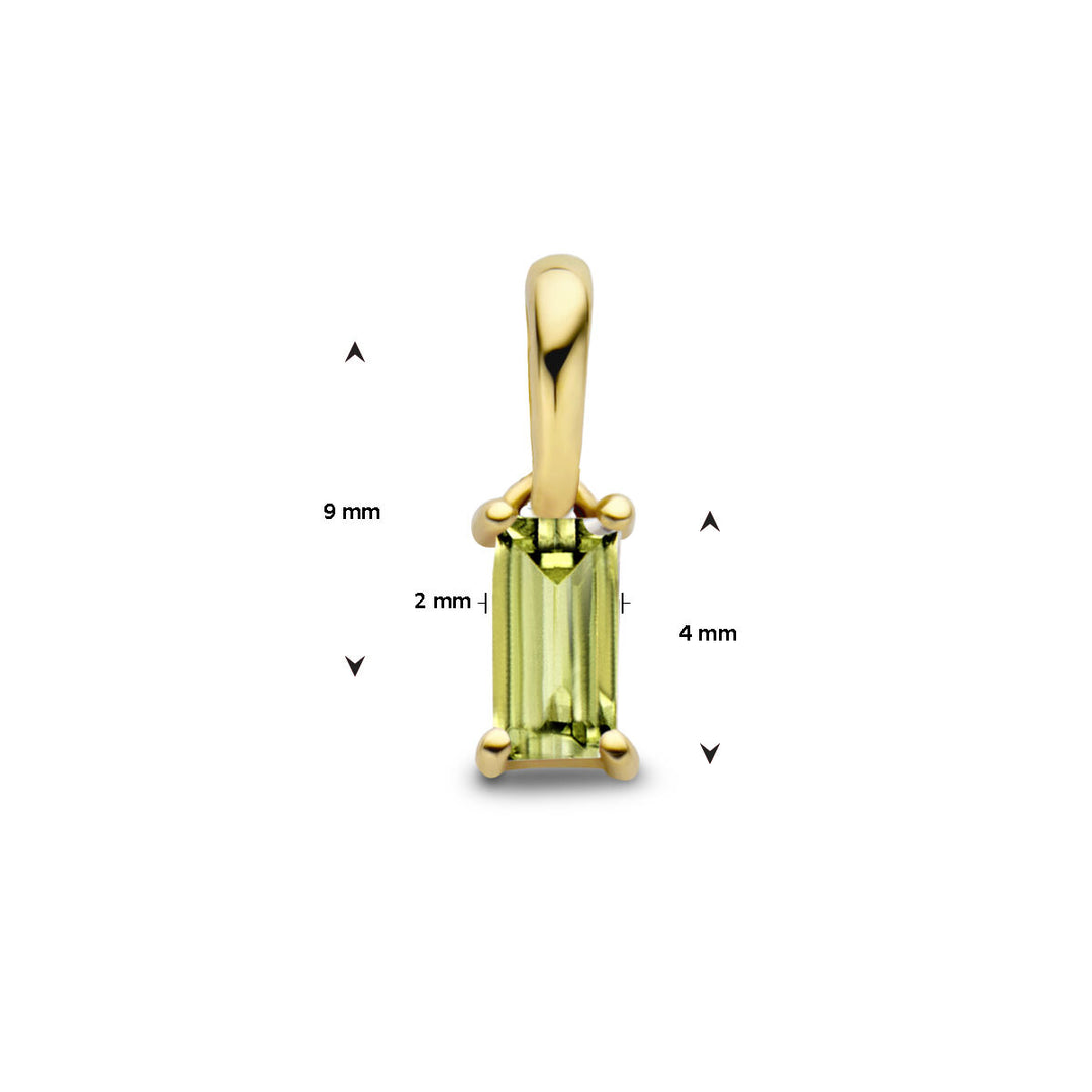 14K Geelgouden Hanger Augustus Geboortesteen 9mm