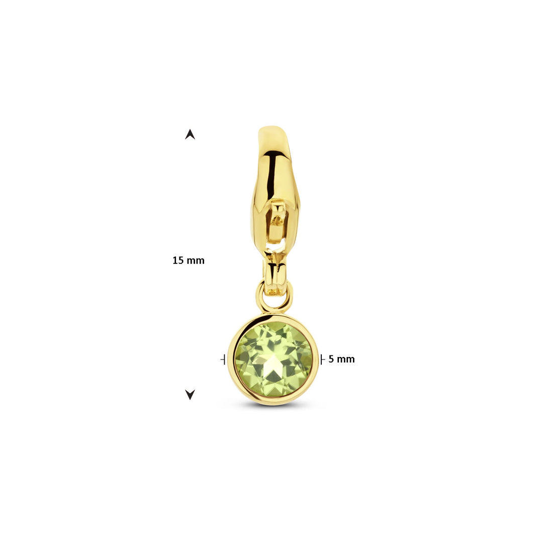 14K Geelgouden Slotbedel Augustus Geboortesteen 15x5mm