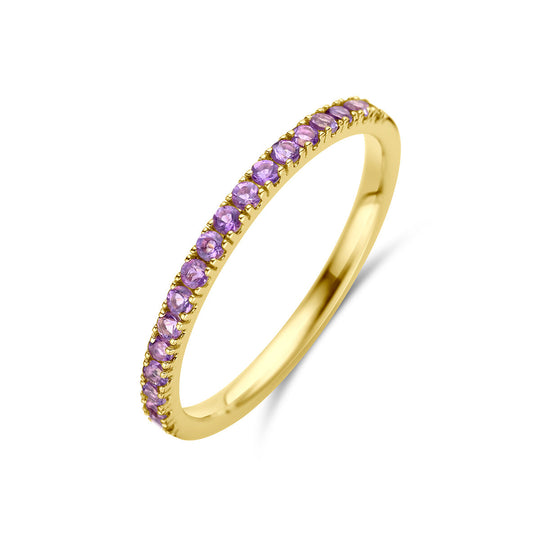 14K Geelgouden Ring met Amethist Geboortesteen - Februari