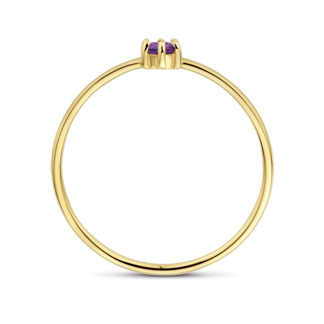 14k Geelgouden Ring met Amethist – Geboortesteen Februari, 4mm