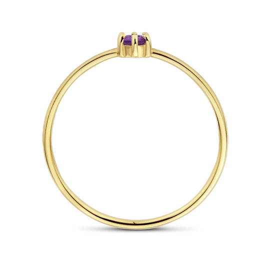 14k Geelgouden Ring met Amethist – Geboortesteen Februari, 4mm