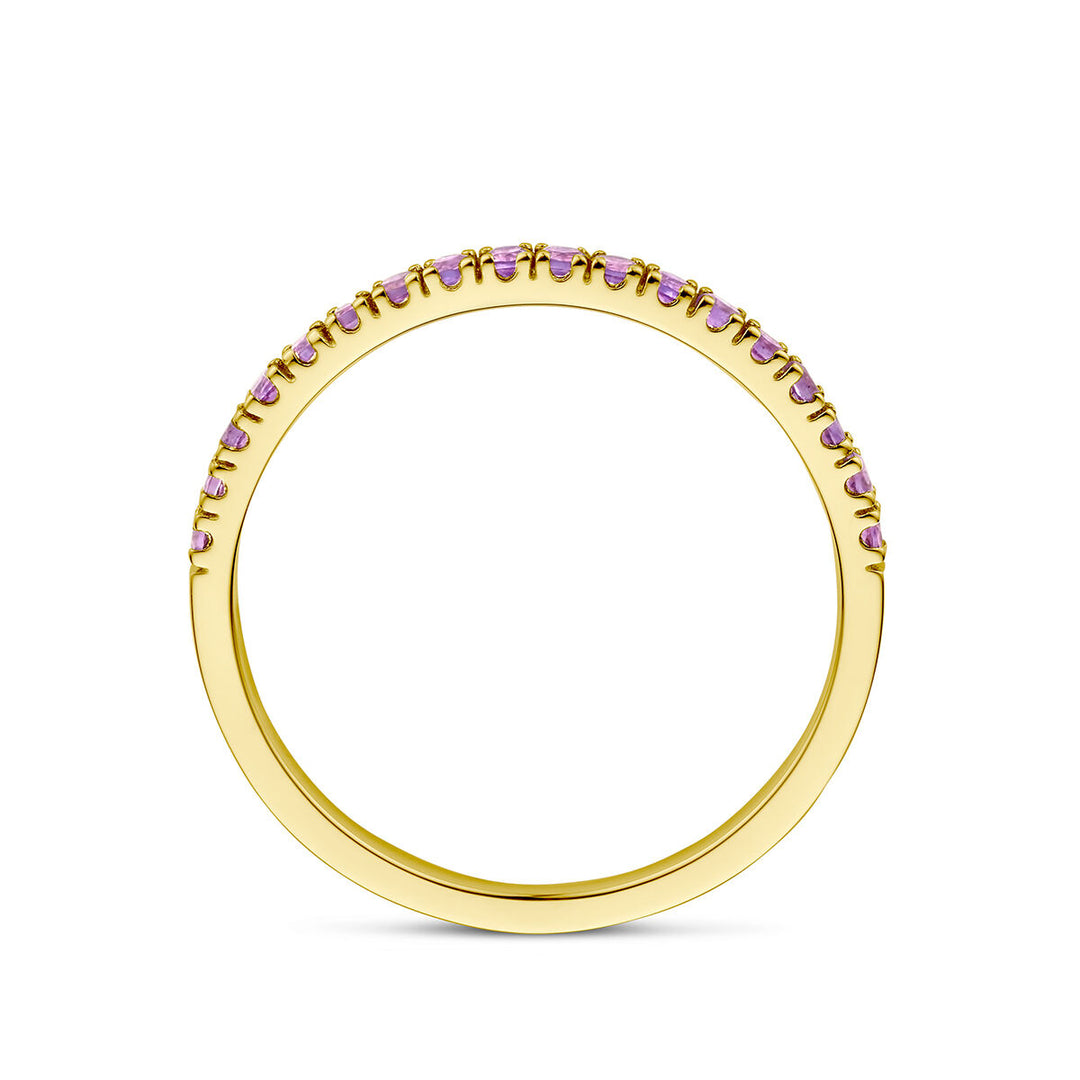 14K Geelgouden Ring met Amethist Geboortesteen - Februari