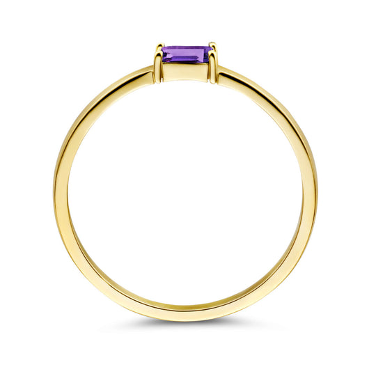 14k Geelgouden Ring met Amethist – Geboortesteen Februari 2,5mm
