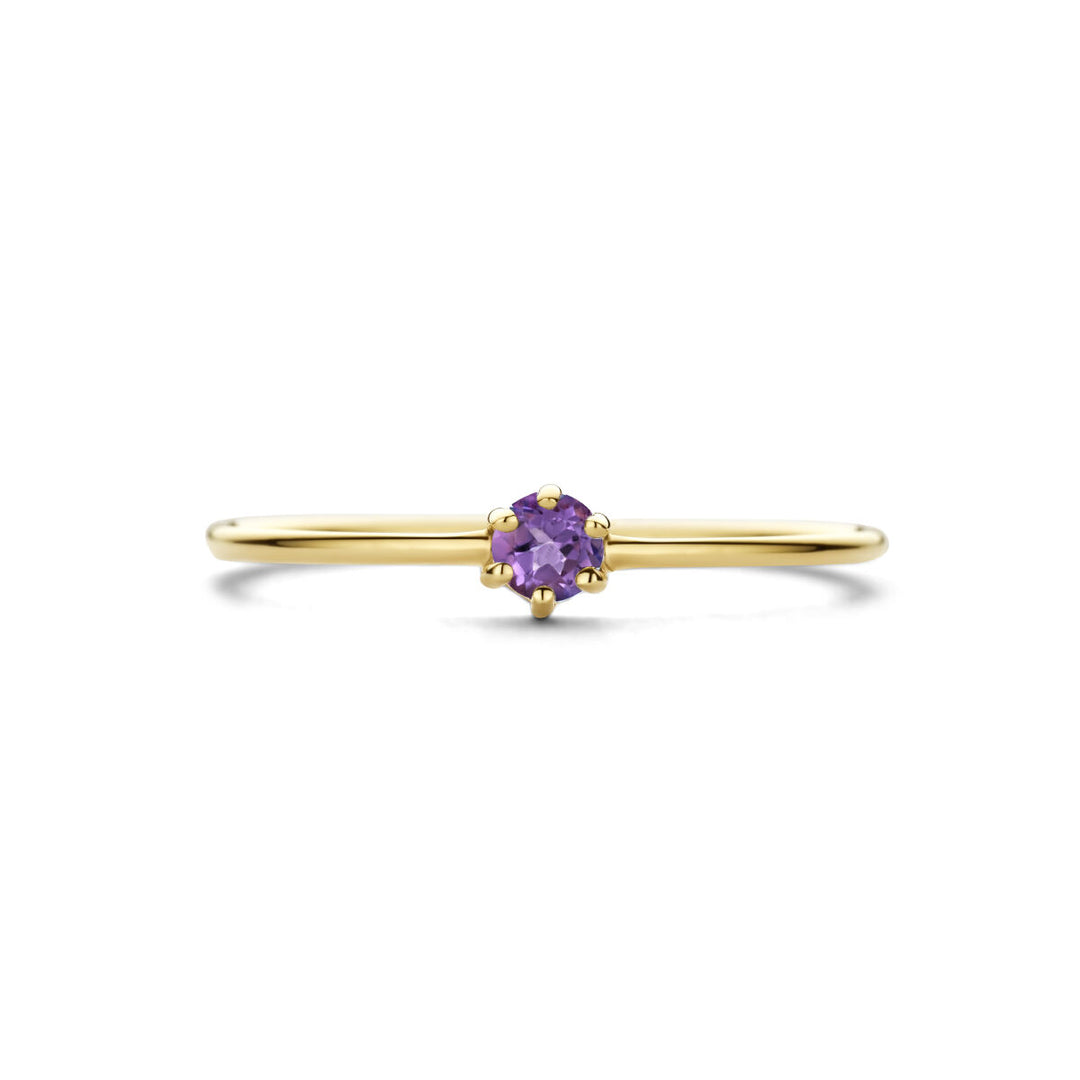 14k Geelgouden Ring met Amethist – Geboortesteen Februari, 4mm