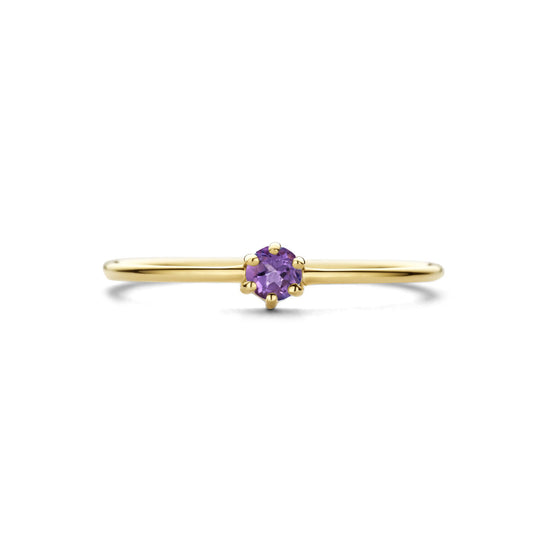 14k Geelgouden Ring met Amethist – Geboortesteen Februari, 4mm