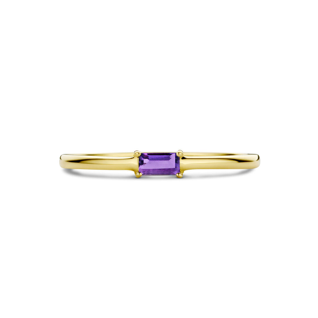 14k Geelgouden Ring met Amethist – Geboortesteen Februari 2,5mm