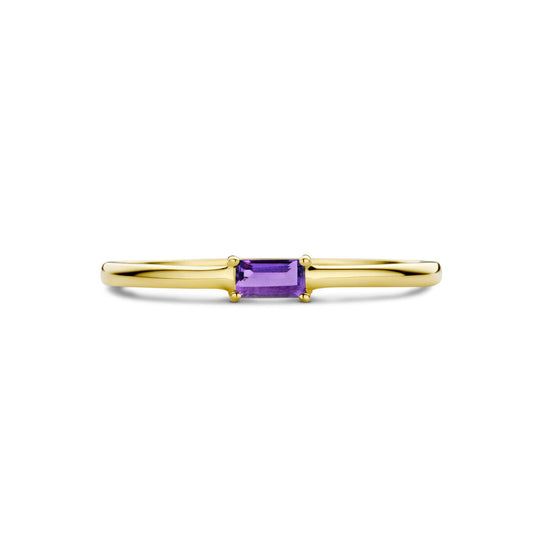 14k Geelgouden Ring met Amethist – Geboortesteen Februari 2,5mm