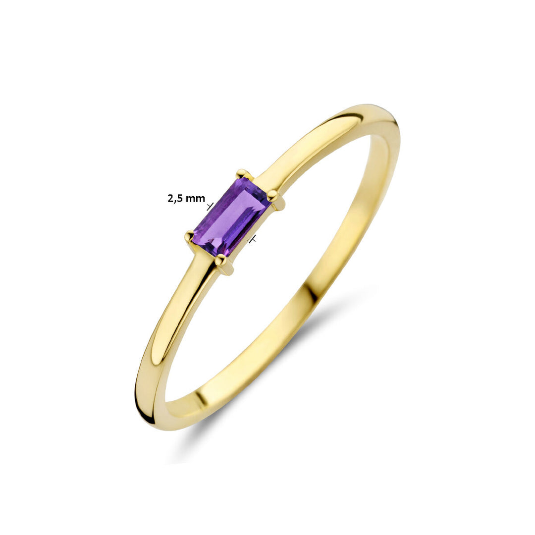 14k Geelgouden Ring met Amethist – Geboortesteen Februari 2,5mm
