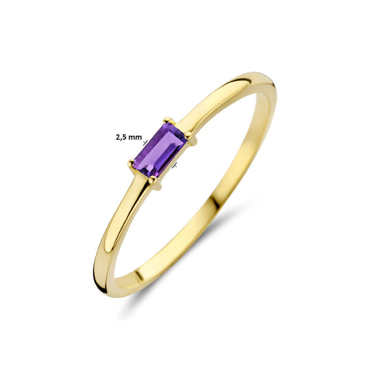 14k Geelgouden Ring met Amethist – Geboortesteen Februari 2,5mm