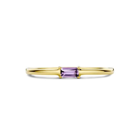14k Geelgouden Ring met Amethist – Geboortesteen Juni 2,5mm