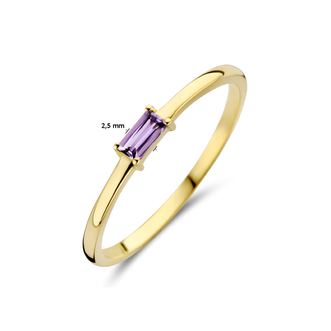 14k Geelgouden Ring met Amethist – Geboortesteen Juni 2,5mm