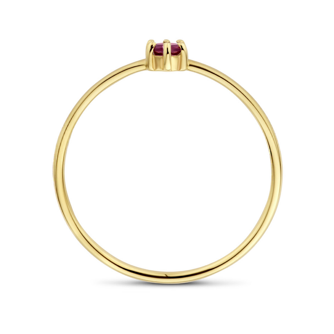 14k Geelgouden Ring 4mm met Granaat – Geboortesteen Januari