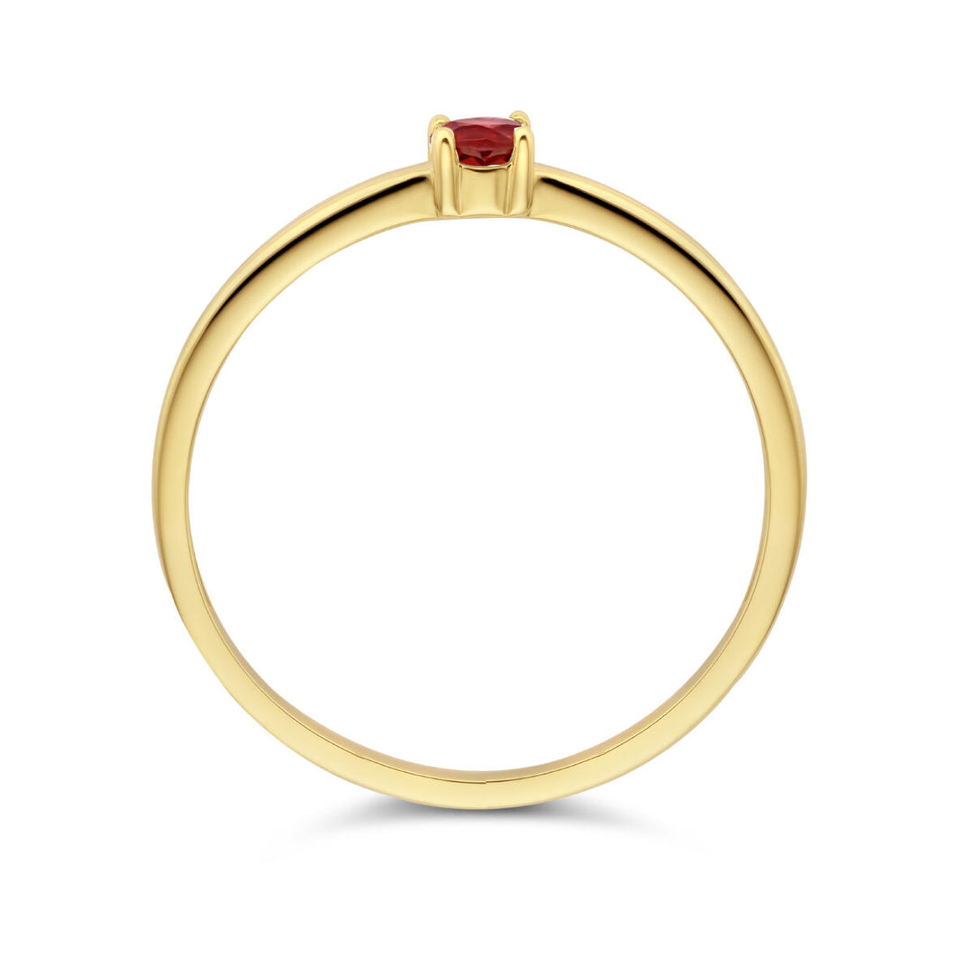 14k Geelgouden Ring Januari Granaat Geboortesteen 3mm