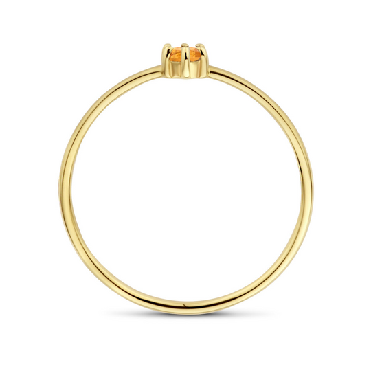 14k Geelgouden Ring 4mm met Citrien – Geboortesteen November