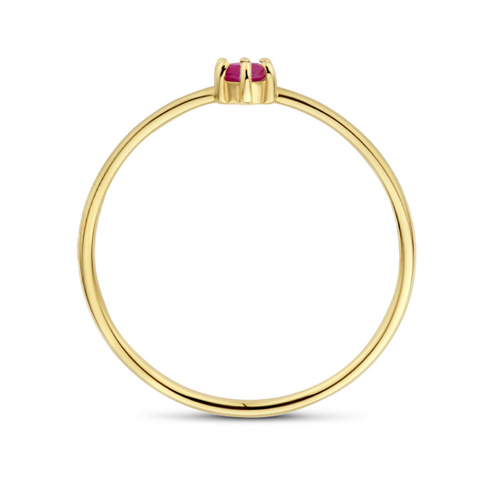 14k Geelgouden Ring 4mm met Robijn – Geboortesteen Juli