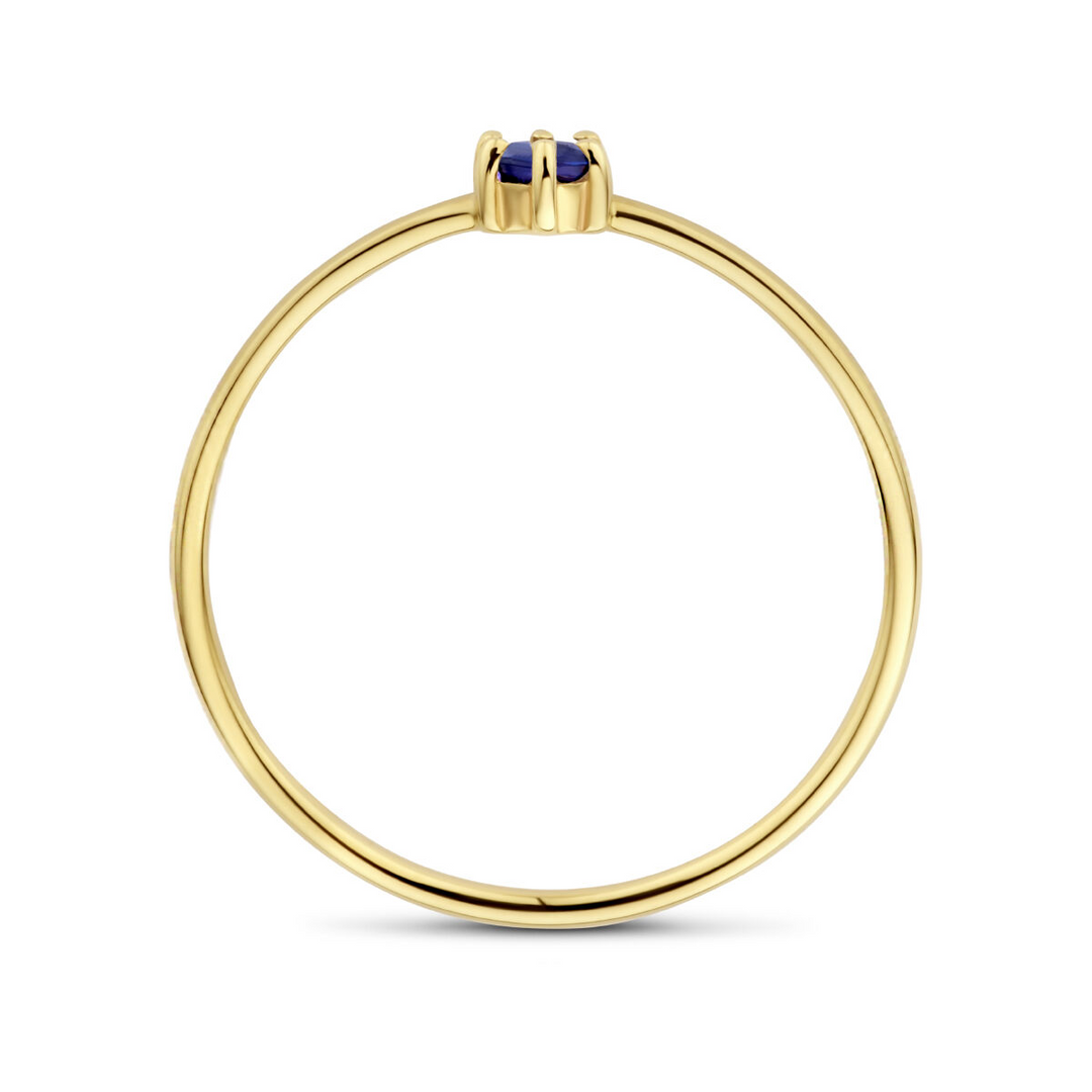 14k Geelgouden Ring 4mm met Saffier – Geboortesteen September