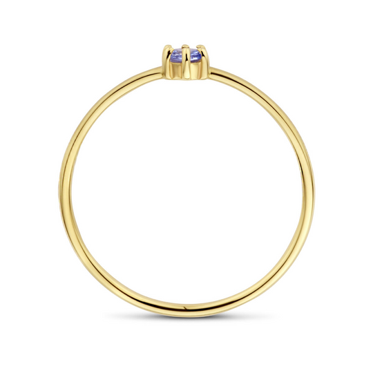14k Geelgouden Ring 4mm met Tanzaniet – Geboortesteen December