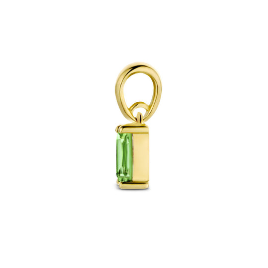 14K Geelgouden Hanger Mei Geboortesteen 9mm