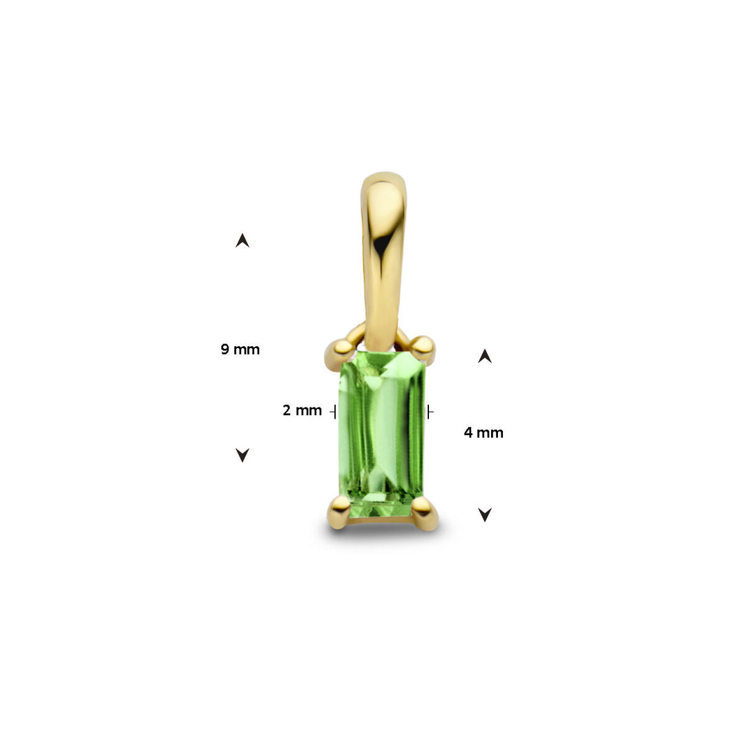 14K Geelgouden Hanger Mei Geboortesteen 9mm