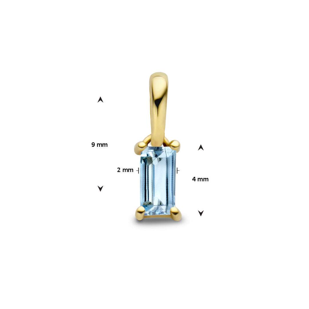 14K Geelgouden Hanger December Geboortesteen 9mm