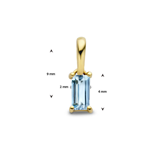 14K Geelgouden Hanger December Geboortesteen 9mm