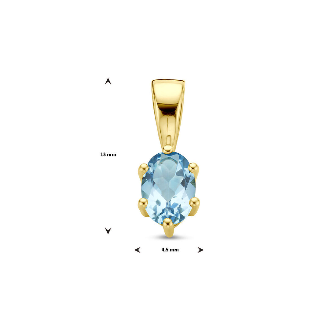 14K Geelgouden Hanger met December Geboortesteen – 13x4,5mm